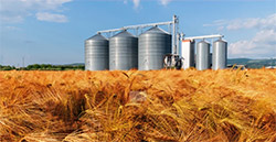 MVE-SS食品行业专用不锈钢振动电机